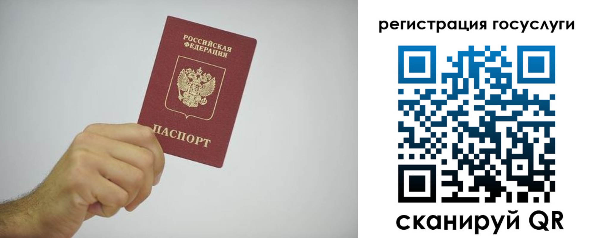 временная регистрация гарантия в Александрове